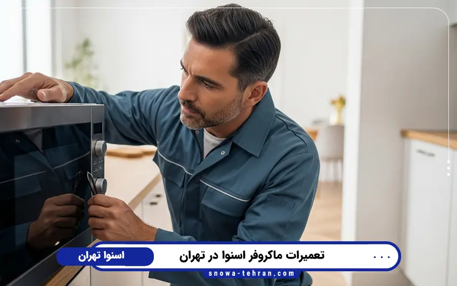 نمایندگی تعمیر ماکروفر اسنوا در میدان انقلاب تهران