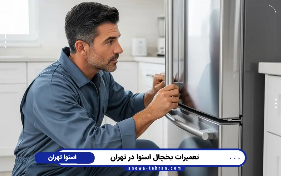 نمایندگی تعمیرات یخچال اسنوا در میدان انقلاب تهران
