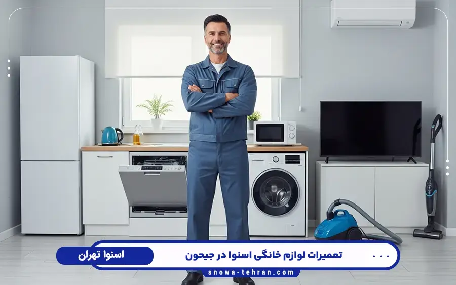نمایندگی تعمیرات لوازم خانگی اسنوا در جیحون